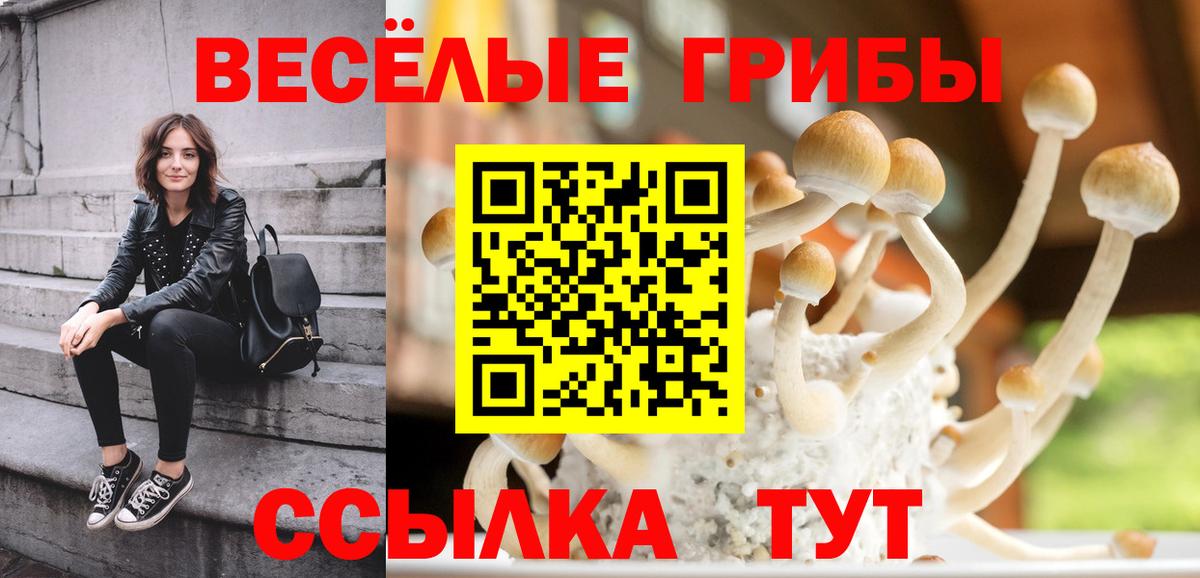 Псилоцибиновые грибы GOLDEN TEACHER  Вход с VPN  Бирск 